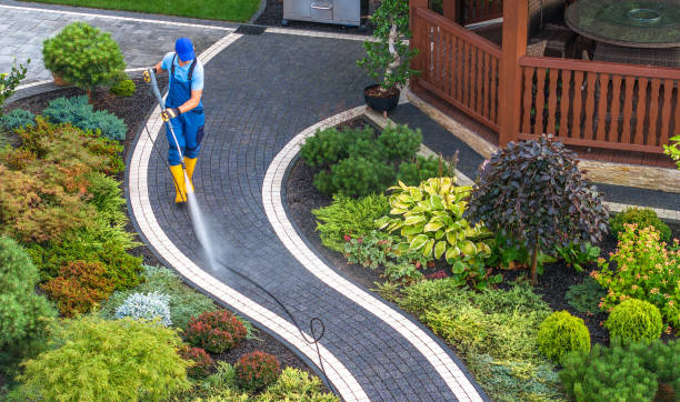 Best Pressure Washing Driveway  in Champaign, IL