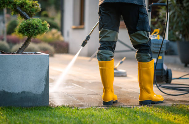 Best Exterior Home Cleaning  in Champaign, IL